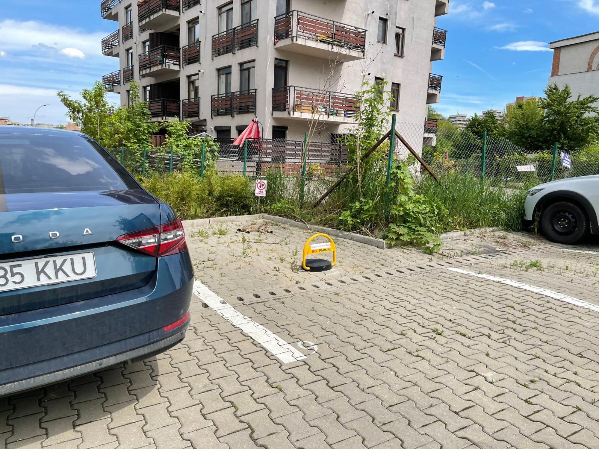 Relax Cluj Apartment And Terrace Экстерьер фото